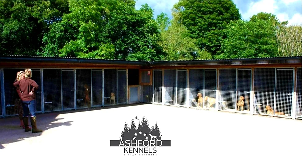 Ashford Kennels- Shropshire - Fauls Green pet otel