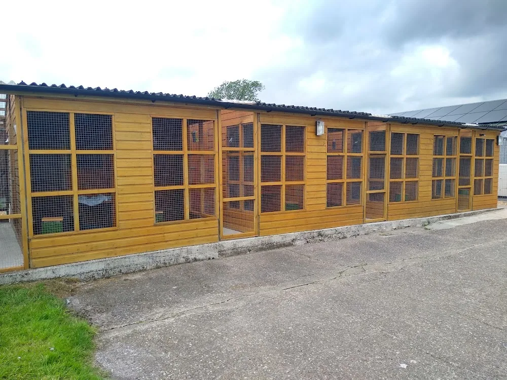 Fairfield Kennels and Cattery - Fauls Green pet otel