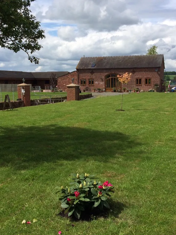 Foxbridge Animal Hotel - Fauls Green pet otel