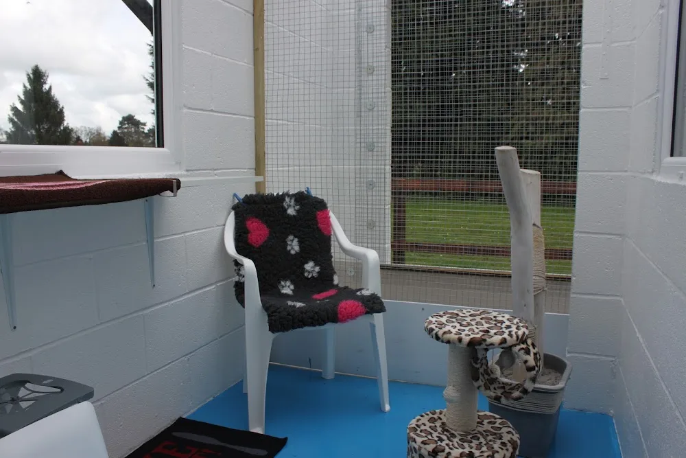 Glenthorne Cattery - Fauls Green pet otel görseli 3
