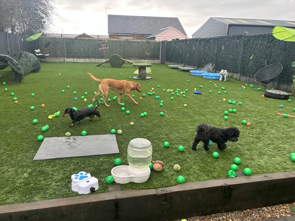 Ruthie’s Home Boarding and Grooming - Fauls Green pet otel görseli 2