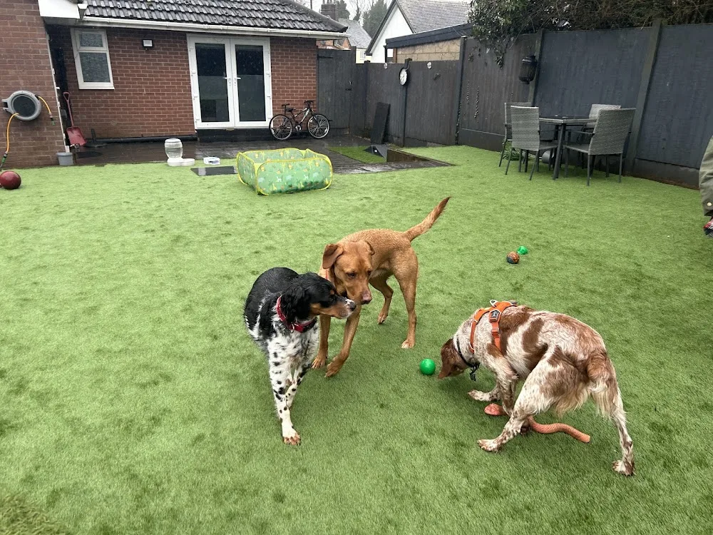 Ruthie’s Home Boarding and Grooming - Fauls Green pet otel görseli 3