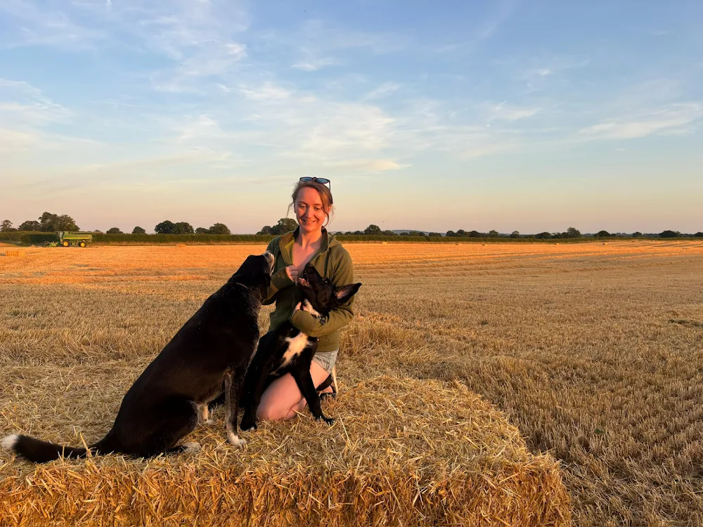 Shropshire Dog Hotel - Fauls Green pet otel görseli 3