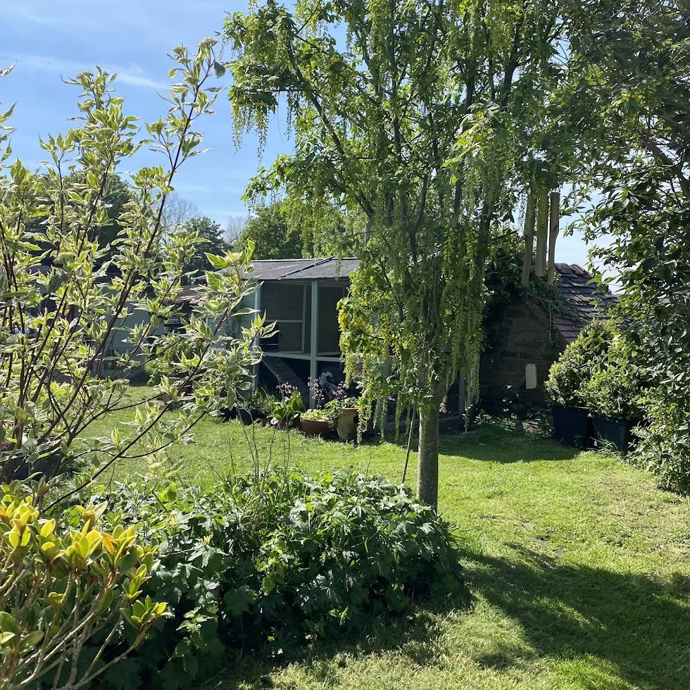 Shropshire Heritage Breeds & Hen Boarding - Fauls Green pet otel görseli 2