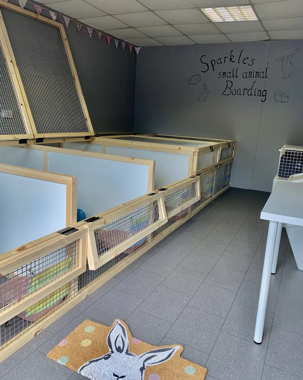 Sparkles Small Animal Boarding - Fauls Green pet otel görseli 3