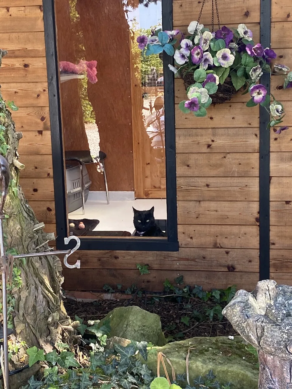 The Animal Au Pair - Fauls Green pet otel görseli 3