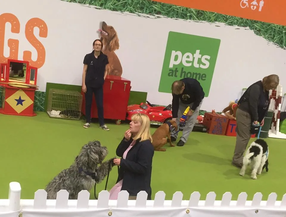 Train Me & My Dog; Training, Daycare & Boarding - Fauls Green pet otel