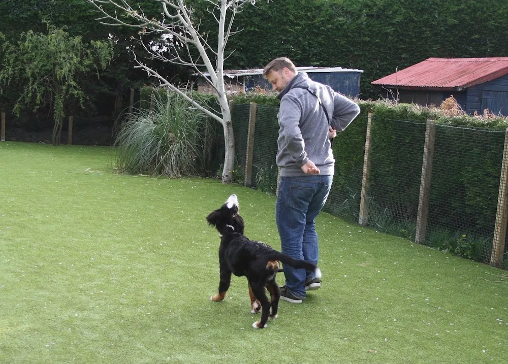Train Me & My Dog; Training, Daycare & Boarding - Fauls Green pet otel görseli 3