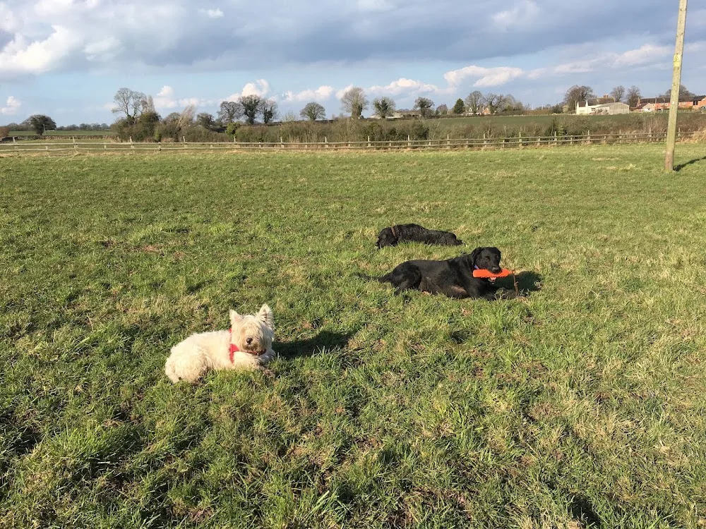 Weaver Pet Care - Fauls Green pet otel