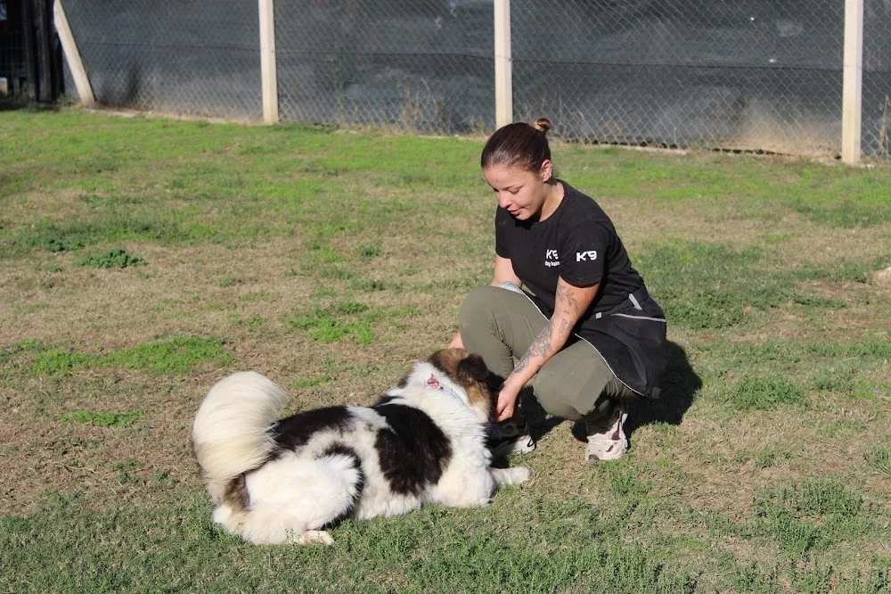 FC K9 Köpek Oteli ve Eğitim Merkezi - Izmir pet otel görseli 3