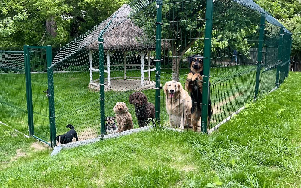 DOGPARK - Fejér County pet otel görseli 6