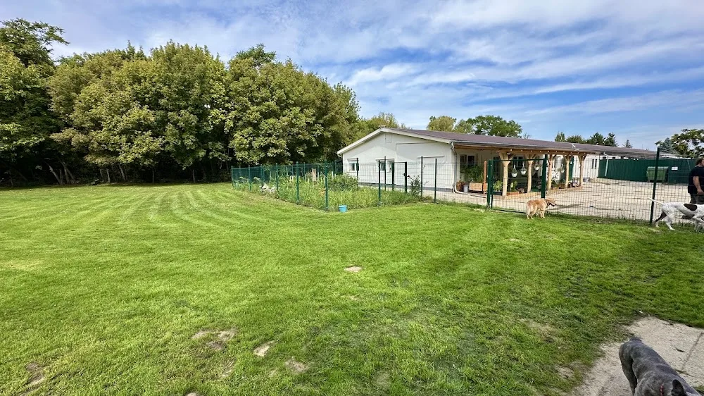 DOGPARK - Fejér County pet otel görseli 7