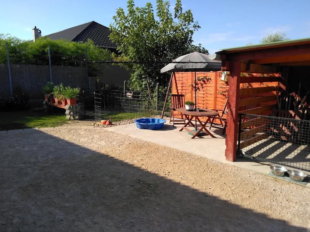 Royal kutyapanzió - Fejér County pet otel görseli 3