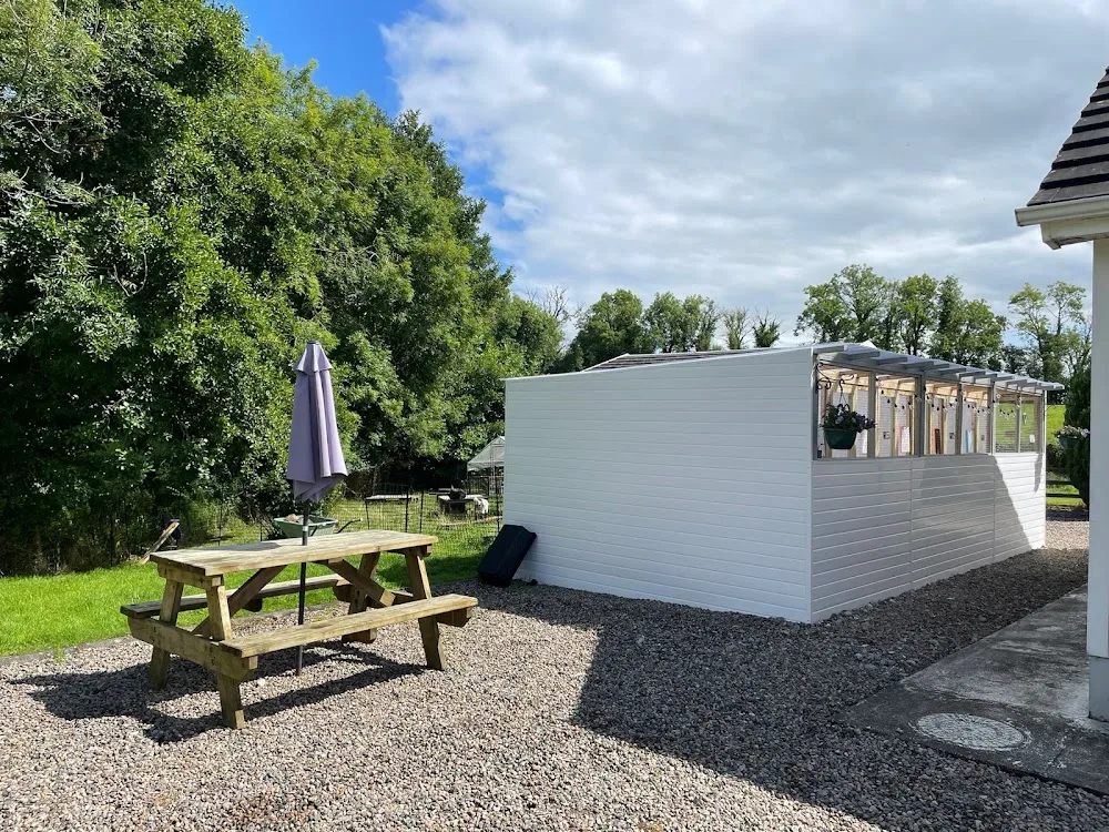 Mrs B’s Precious Paws Pet Sitting and Cattery - Fermanagh and Omagh pet otel