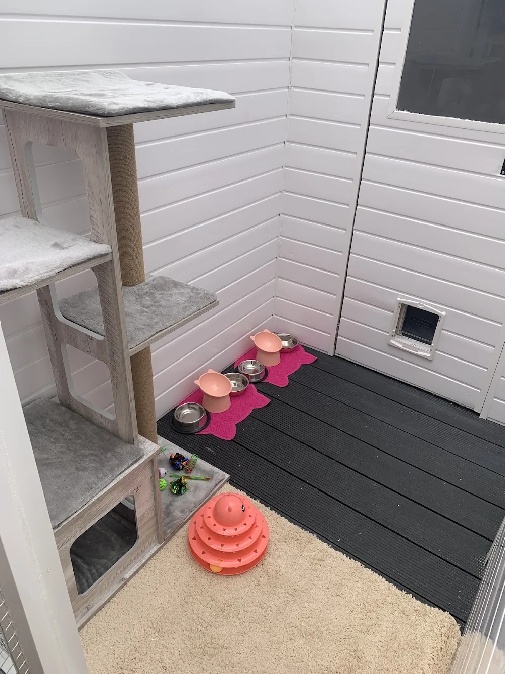 Mrs B’s Precious Paws Pet Sitting and Cattery - Fermanagh and Omagh pet otel görseli 3