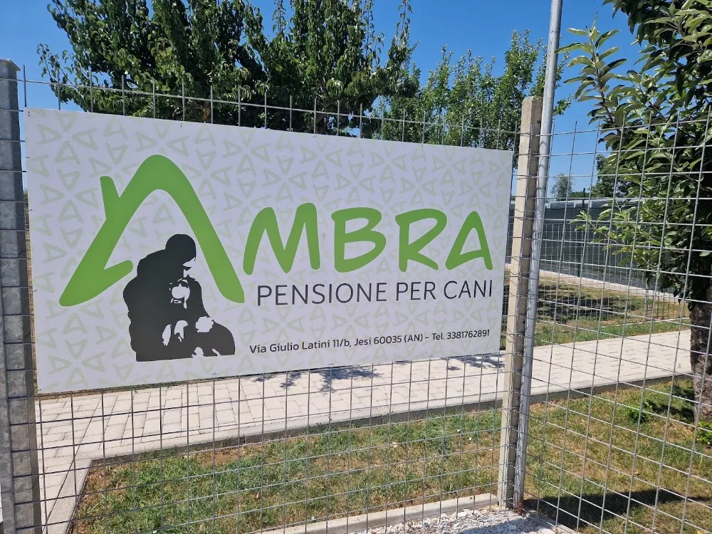 Ambra Pensione Cani - Fermo pet otel