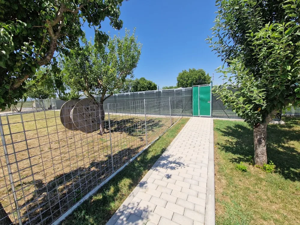 Ambra Pensione Cani - Fermo pet otel görseli 3