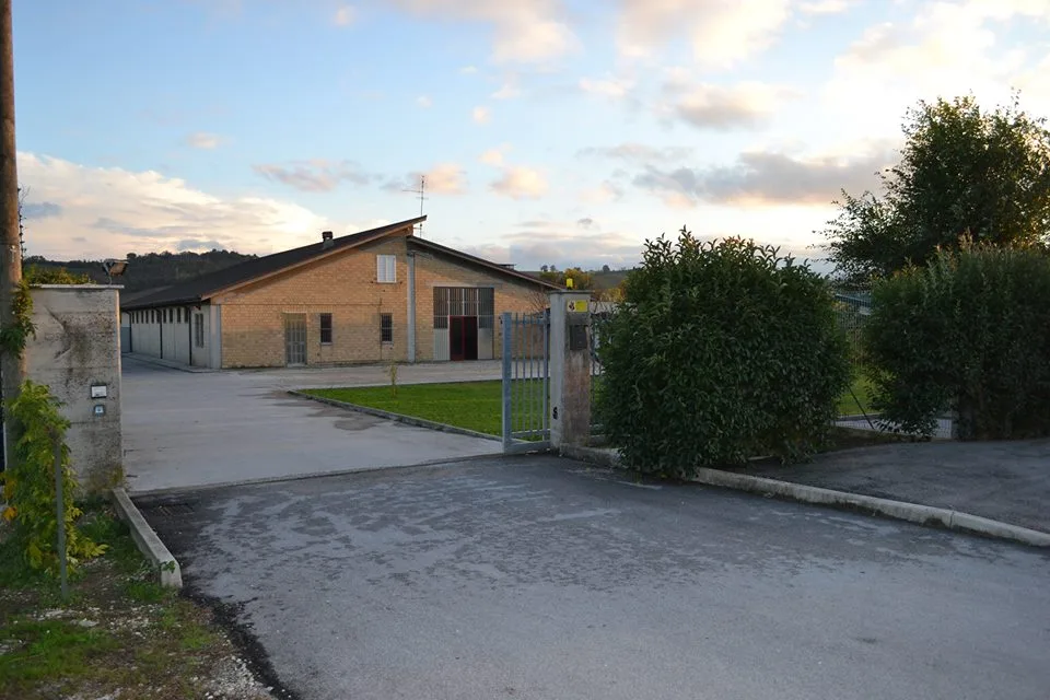 Pensione per Cani e Gatti di Cecchi - Fermo pet otel