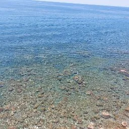 Pensione per Cani e Gatti di Cecchi - Fermo pet otel görseli 5