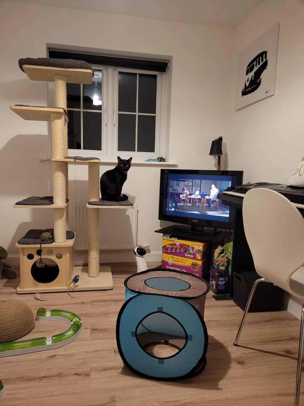 Durham Cat Hotel - Ferryhill pet otel görseli 3