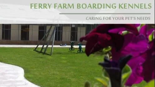 Ferry Farm Boarding Kennels & Cattery - Ferryhill pet otel