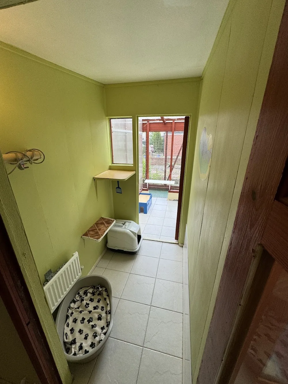 Howlish Boarding Cattery - Ferryhill pet otel görseli 3