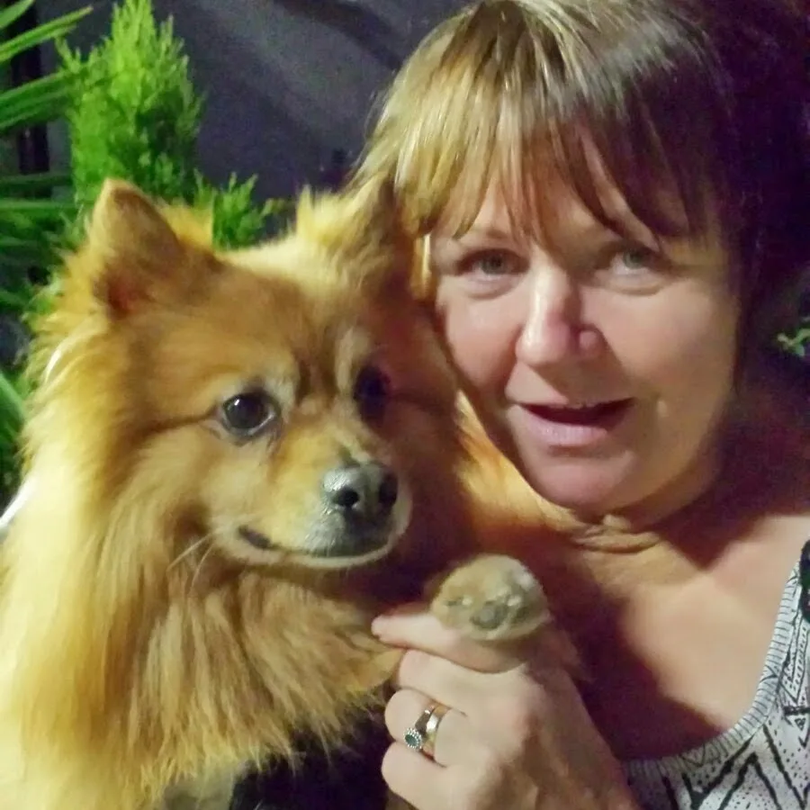 Petz 1st - Dog Daycare & Home Boarding in County Durham - Ferryhill pet otel görseli 4
