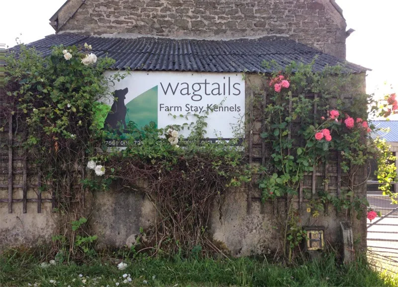 Wagtails Farm Stay Kennels - Ferryhill pet otel görseli 3