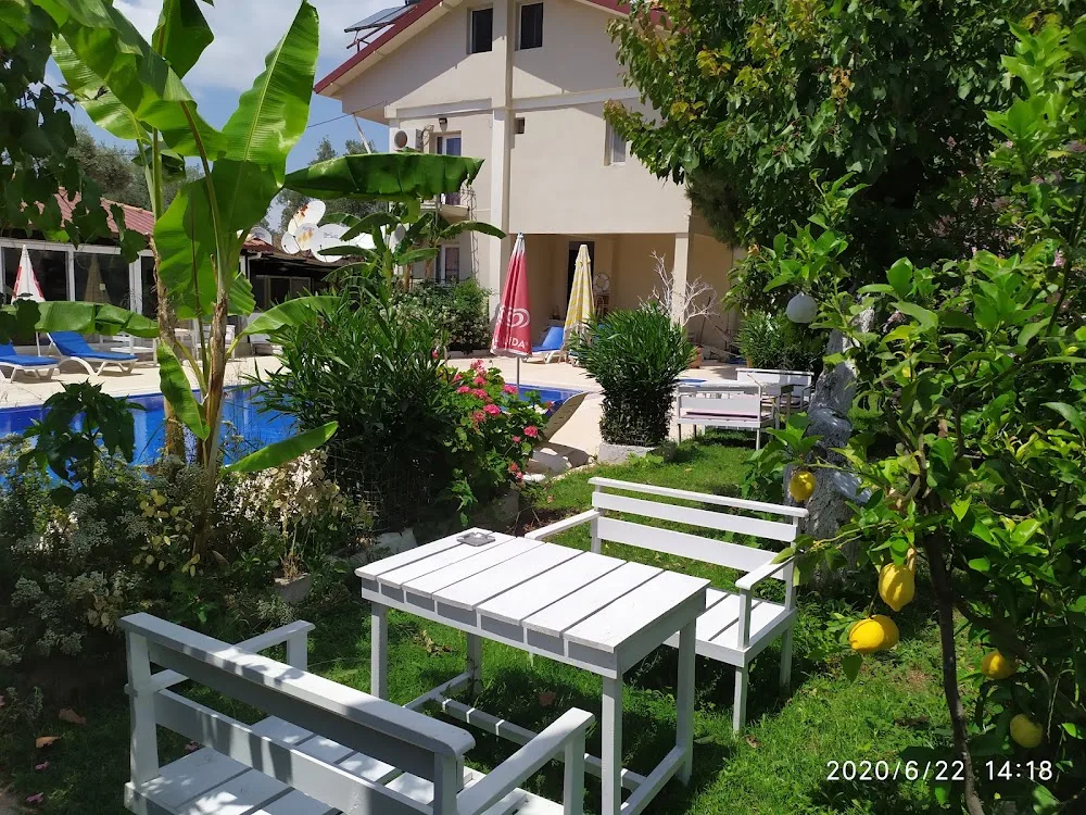 Doğa Hotel - Fethiye pet otel görseli 4