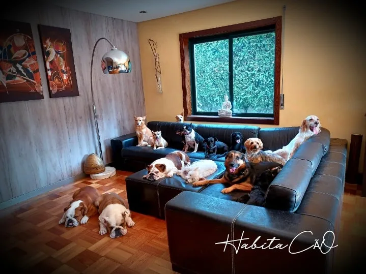Hotel Canino HabitaCão - Fiães pet otel