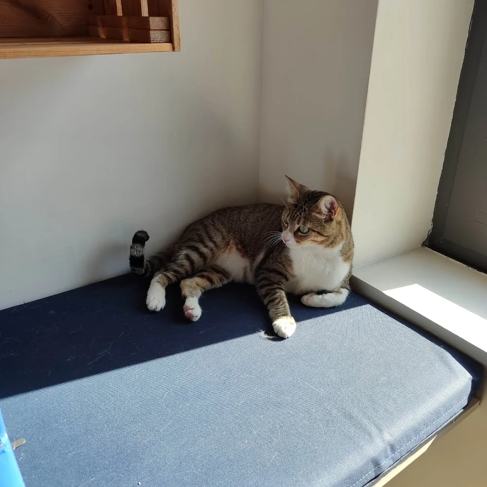 Pet Hotel Gaia - Fiães pet otel görseli 3