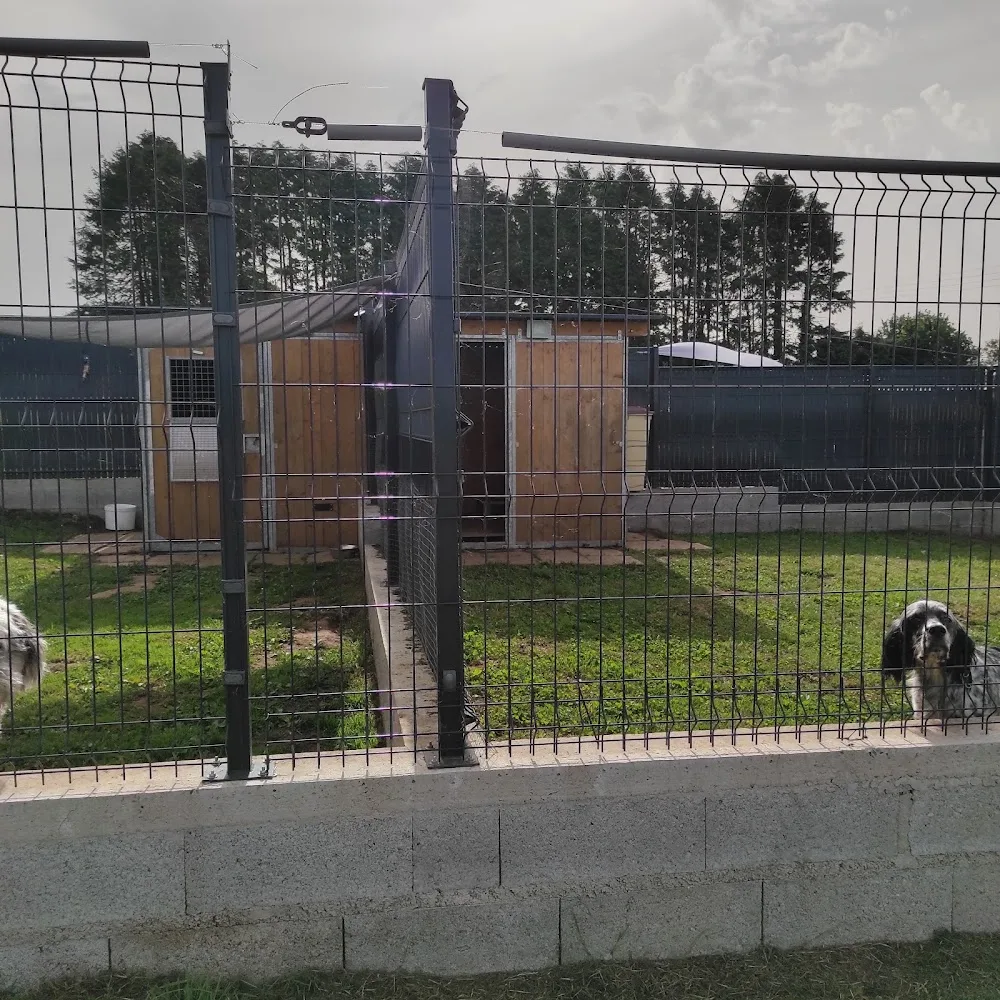 ABC Chien - Finistère pet otel görseli 7