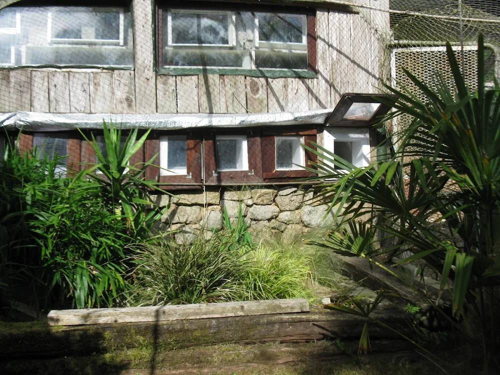 Au chat perché - Finistère pet otel