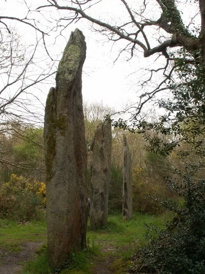 Domaine des 3 menhirs - Finistère pet otel görseli 6