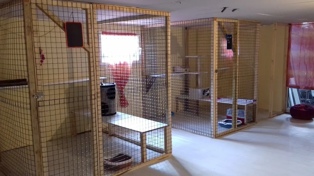 LA COLO DES 4 PATTES de St Thonan - Finistère pet otel