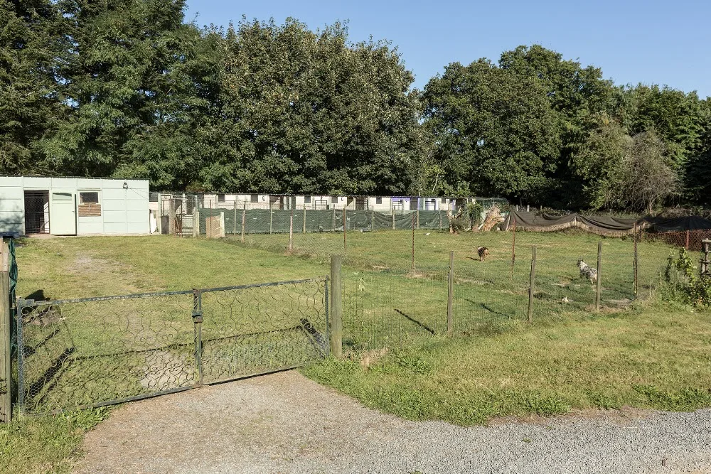 The Pet Hotel - Finistère pet otel görseli 6