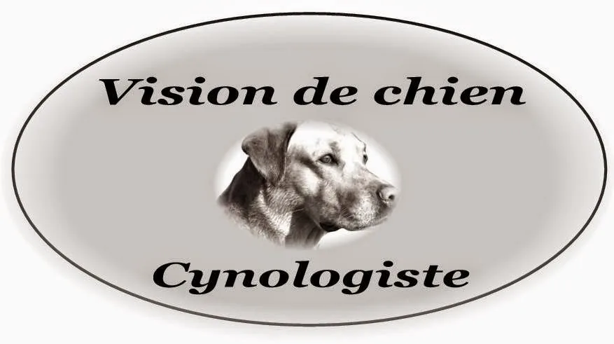 Vision de Chien - Finistère pet otel görseli 2