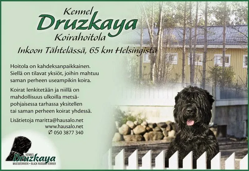Druzkaya Ky - Finland Proper pet otel görseli 3