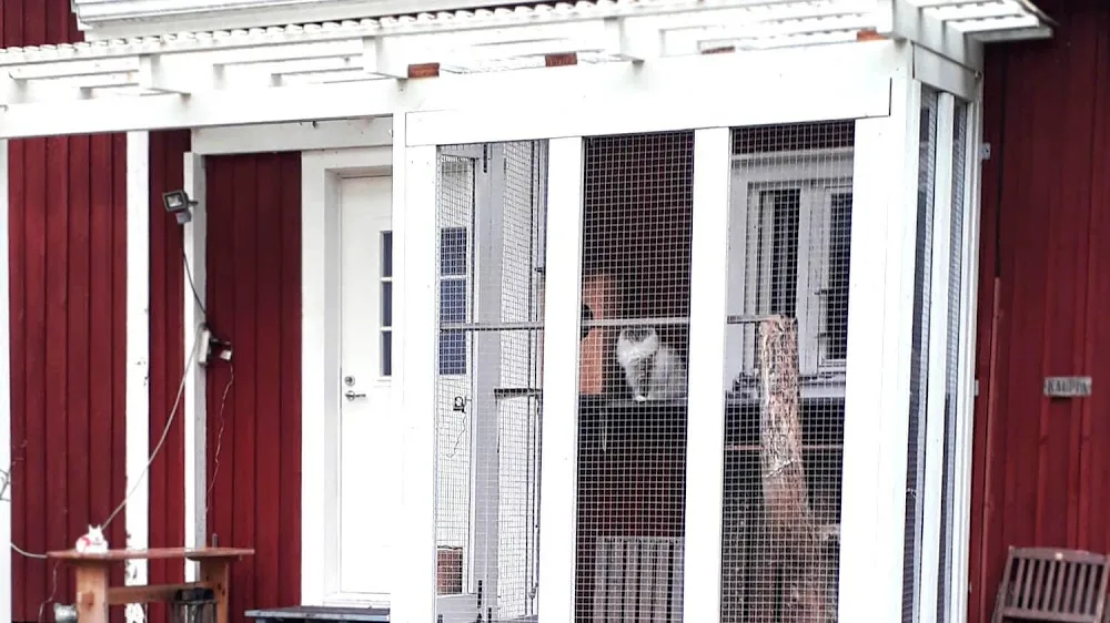 Kissahoitola Suvitie - Finland Proper pet otel görseli 3