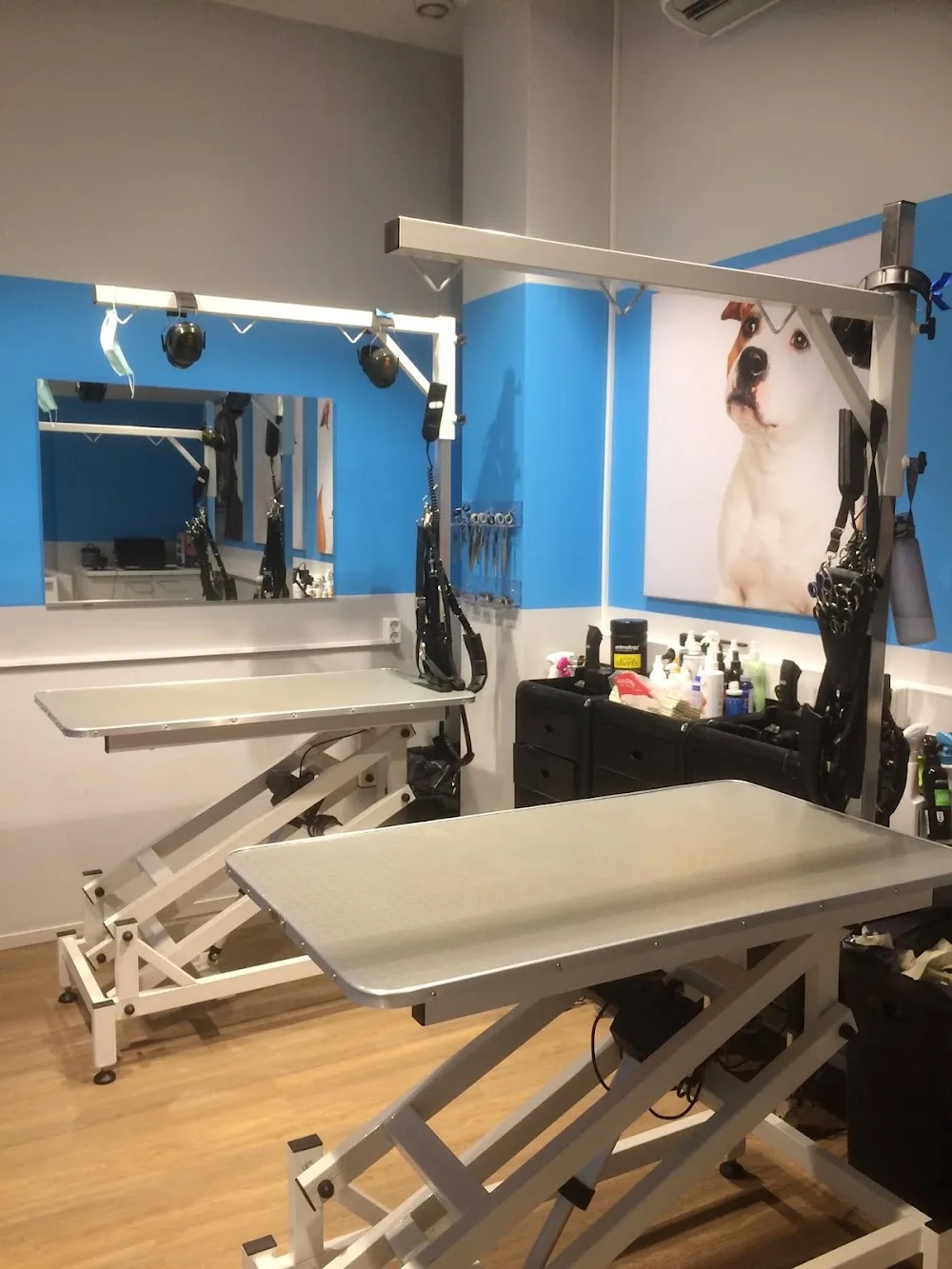 Musti ja Mirri Hyvinvointipalvelut Turku Kupittaa - Finland Proper pet otel görseli 3