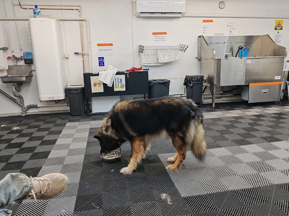 Pörröpiste - Finland Proper pet otel görseli 3