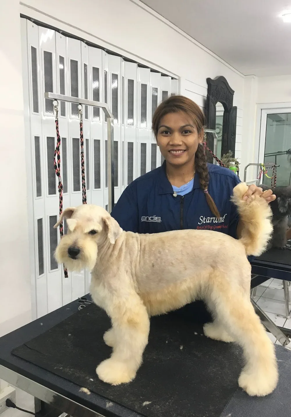 SIRI Dog's Grooming - Finland Proper pet otel
