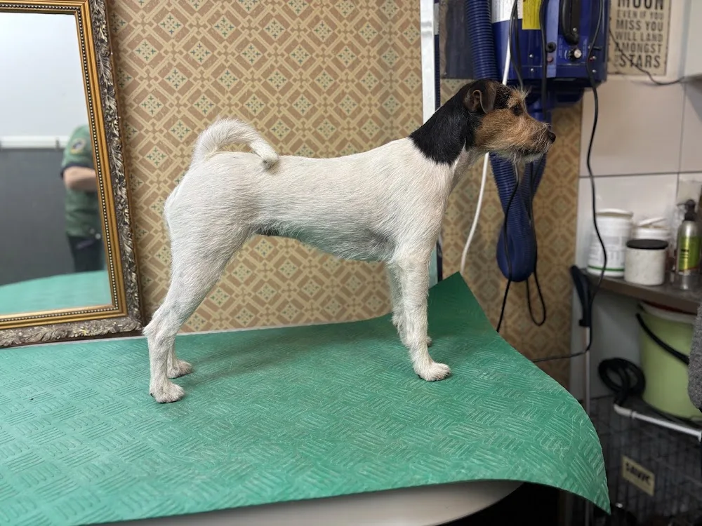 Tammenkolon Kennel - Finland Proper pet otel görseli 3