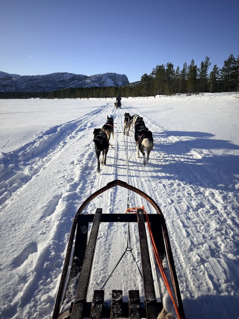 Holmen Husky Lodge - Finnmark pet otel görseli 4