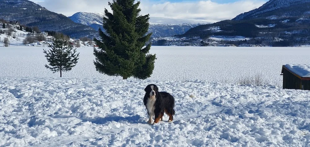 Kennel Aivema - Finnmark pet otel