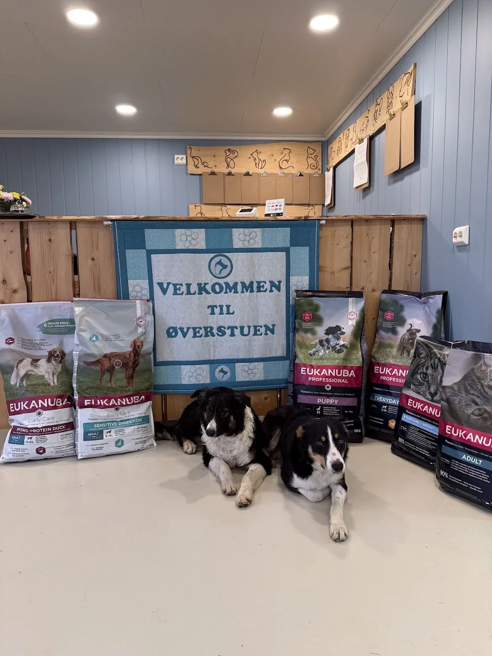 Øverstuen hund og katt - Finnmark pet otel
