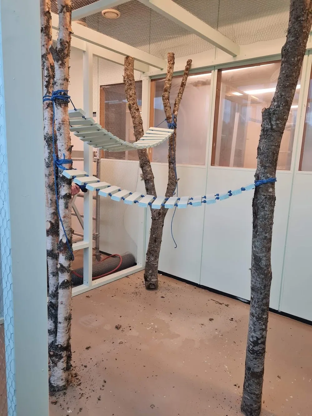 Purrelia Kattepensjonat AS - Finnmark pet otel