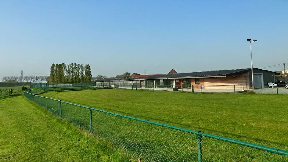 Hondenpension Urok & Dreams - Flanders pet otel görseli 2