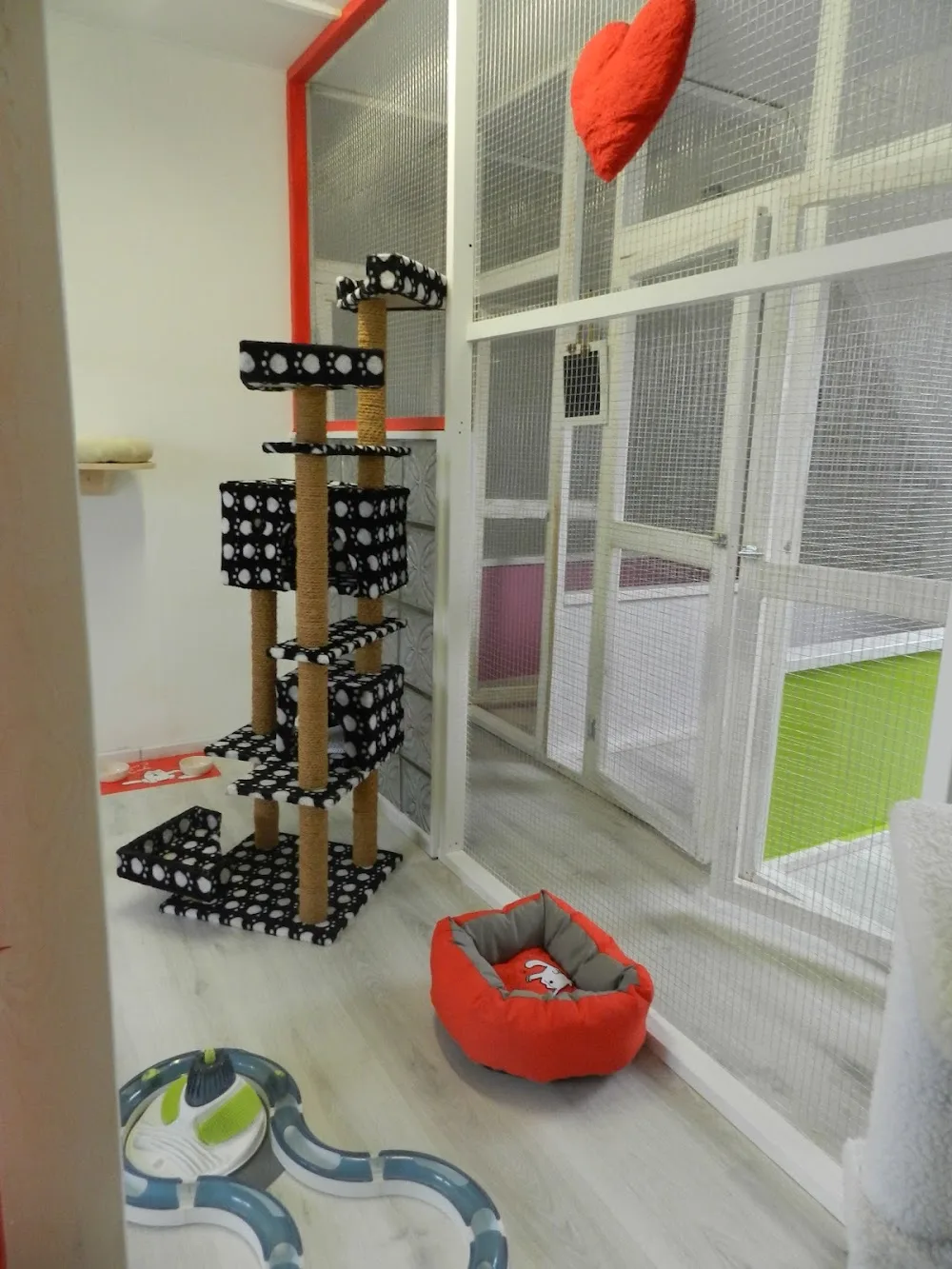 Kattenhotel Het gouden mandje - Flanders pet otel görseli 3