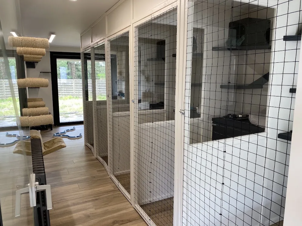 Purrfect vaCATion - Flanders pet otel görseli 6